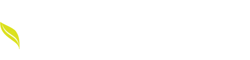 DelminsFood