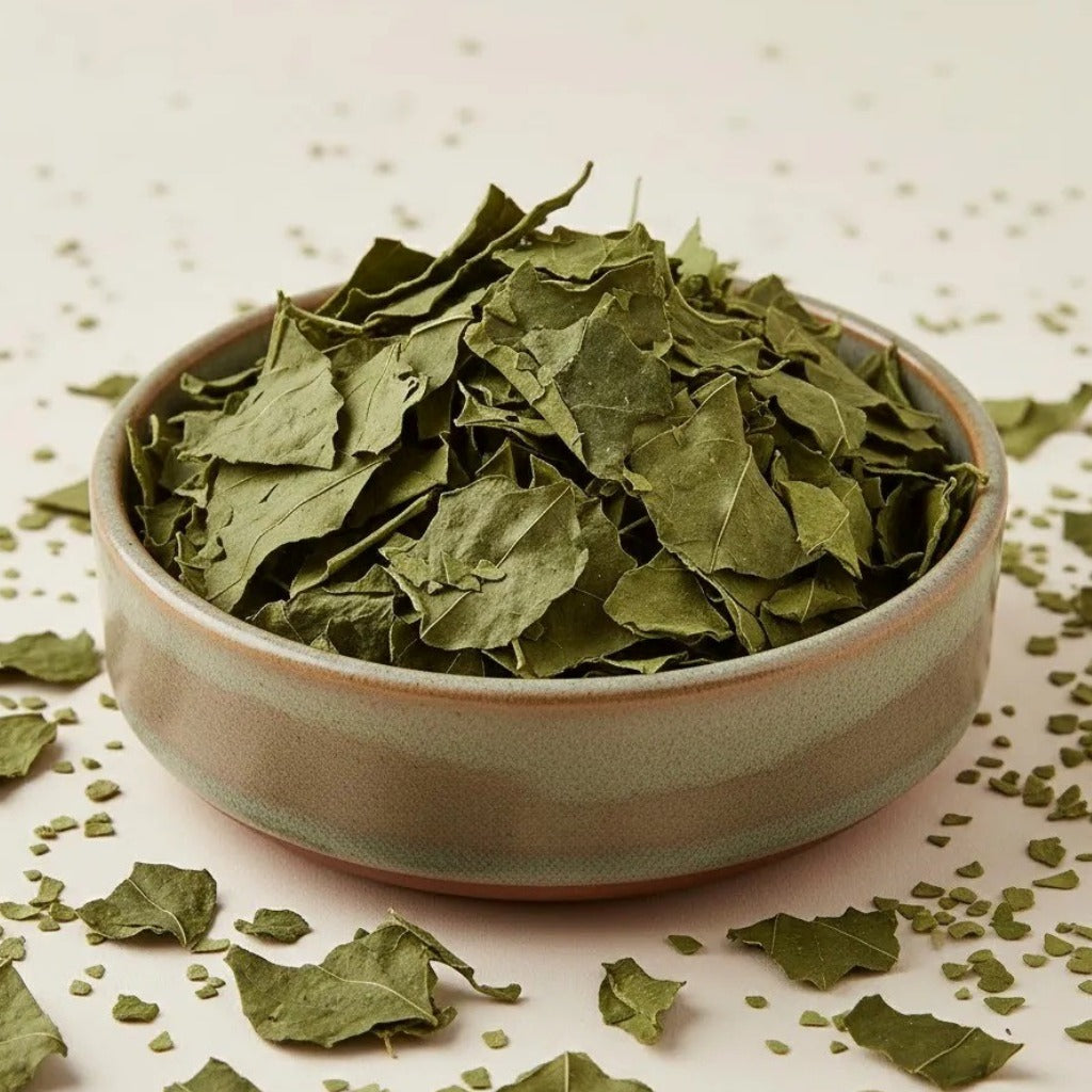 Dehydrated Betel Leaf